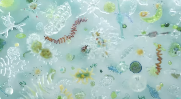 Water's Time Slice